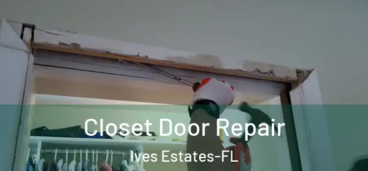  Closet Door Repair Ives Estates-FL