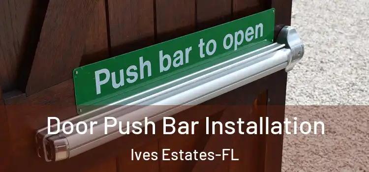  Door Push Bar Installation Ives Estates-FL