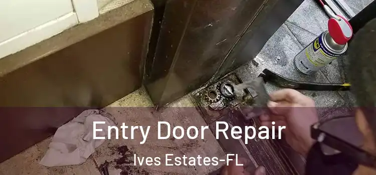  Entry Door Repair Ives Estates-FL