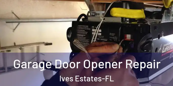  Garage Door Opener Repair Ives Estates-FL