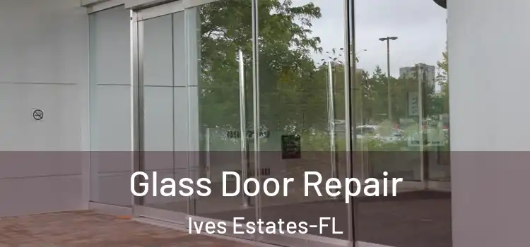  Glass Door Repair Ives Estates-FL