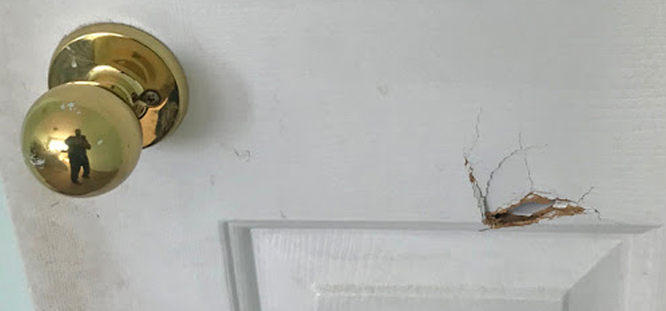 interior door hole repair Ives Estates