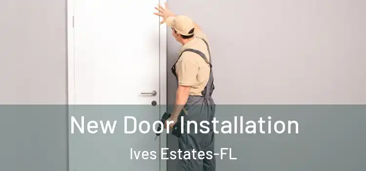  New Door Installation Ives Estates-FL