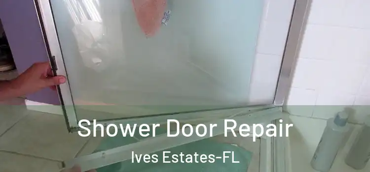  Shower Door Repair Ives Estates-FL