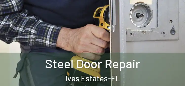  Steel Door Repair Ives Estates-FL